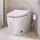 Tankless Toilet