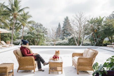 Patio Chair by Pool WINTER SCENE